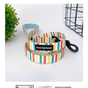6ft striped dog leash